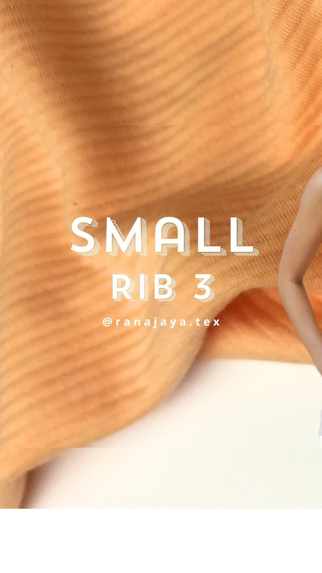 Small Rib 3 — Rib