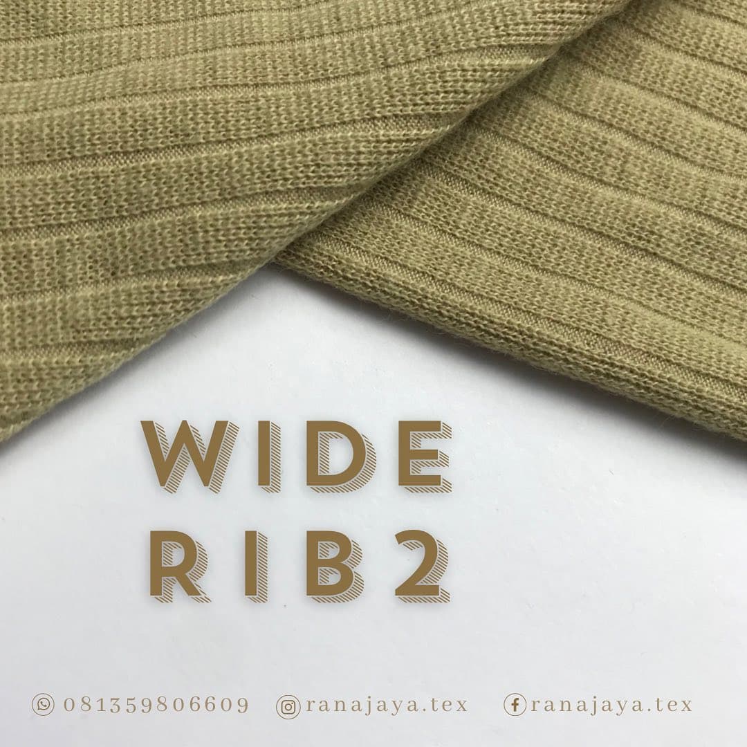 Rib